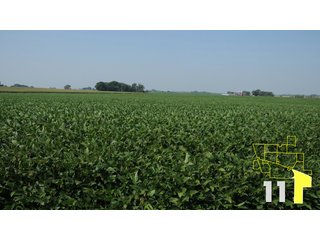 Property photo 40 - Land Auction - 3,379 Acres in 48 Tracts, 2,900 Acres Tillable, Large Contiguous Tracts - Investment Potential